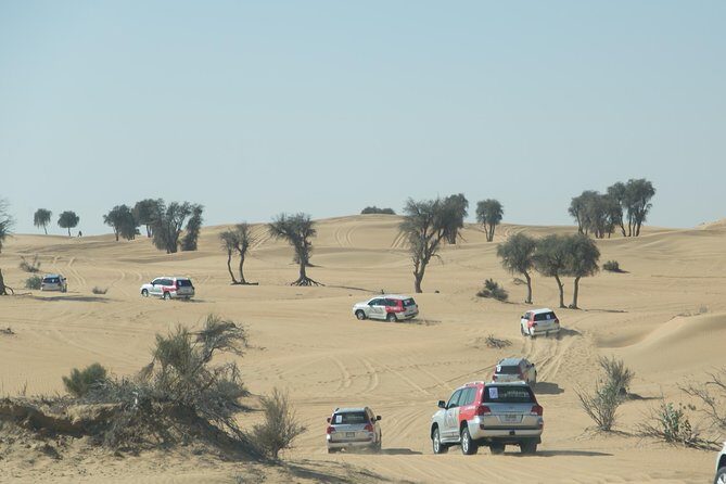 Desert Safari in Dubai with full package - no hidden cost - Dune bashing in a 4x4: what the ride is really like