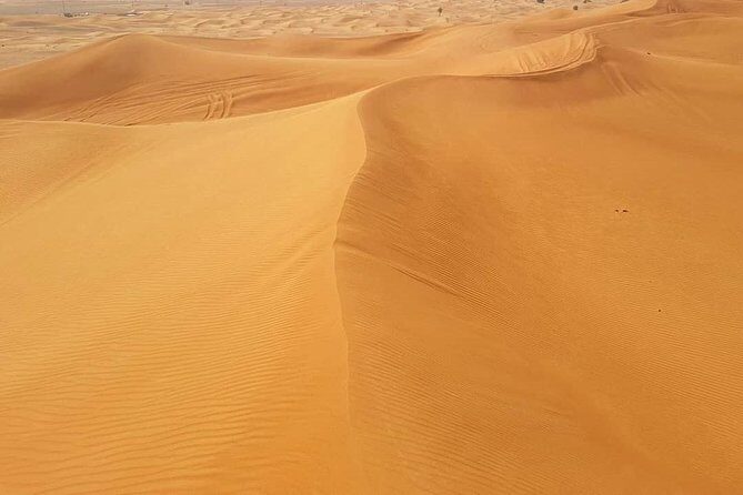 Desert Safari Red Dunes with Camel Ride, Sandboard, BBQ and Shows - Sandboarding basics: included fun, not just a demo