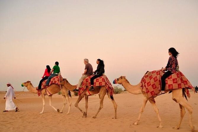 Desert Safari Tour with 30 Minutes Quad bike Ride - The flow of the stops: how the evening is paced