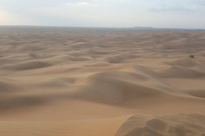 Desert Safari With Bab Al Shams Camp - Dinner at the camp: what “exclusive buffet” means for you