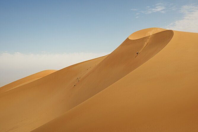 Desert Safari With Bab Al Shams Dinner - Falcon Moments and Photo Realism: What’s Included vs. What Costs More