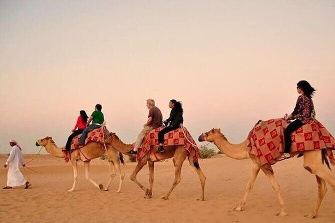 Desert Safari with BBQ Dinner, Camel Ride, Sand Board & Live Show - Price, pickup timing, and what $40 buys you