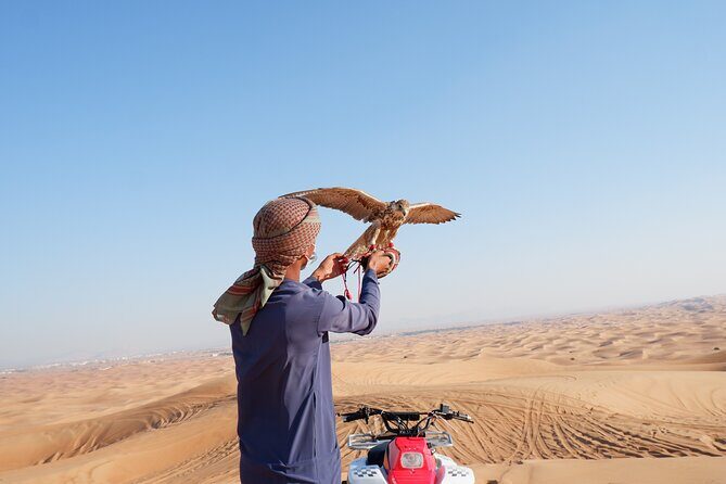 Desert Safari with BBQ Dinner (Quad Bike Optional) - The 7-hour package: BBQ dinner plus henna, camel ride, and shows