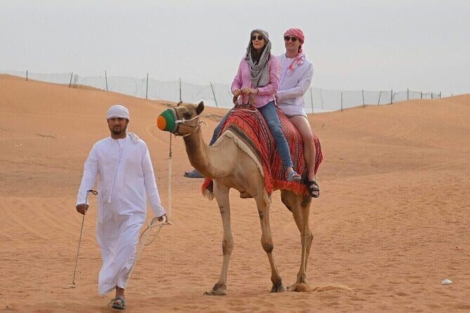Desert Safari with BBQ Dinner (Quad Bike Optional) - Price and value: How a $29 tour adds up in the real world