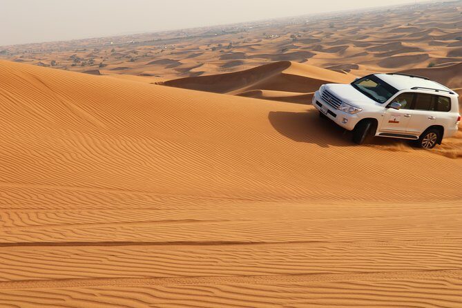 Desert Safari with BBQ Dinner (Sharing/Private) - Belly dance and Tanura at night: choosing your viewing mood
