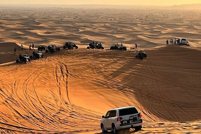 Desert Safari with Camel Ride, BBQ Dinner, Sand Board & Live Show - Key highlights to know before you go
