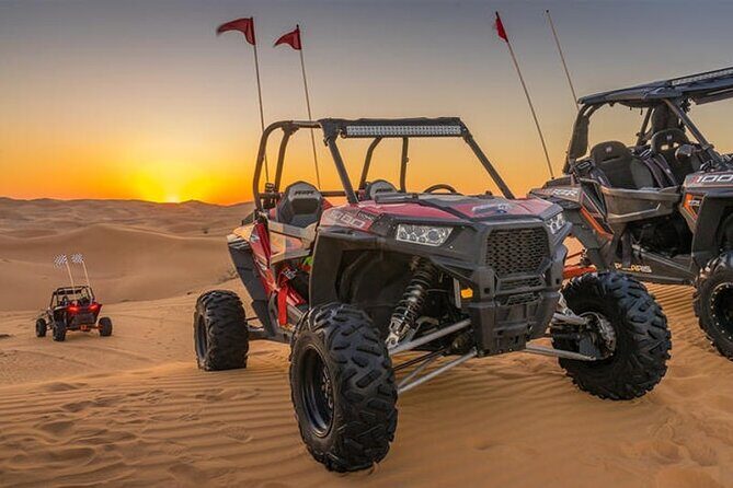 Desert Safari with Camel Ride, BBQ Dinner, Sand Board & Live Show - How Pickup and Desert Timing Work in Dubai
