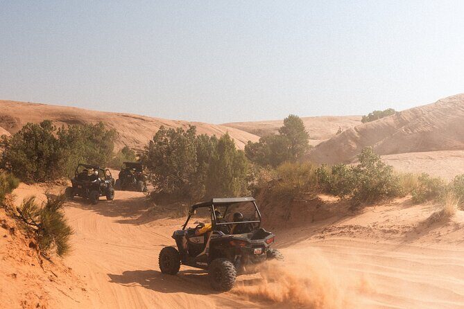 Desert Safari with Camel Ride, BBQ Dinner, Sand Board & Live Show - Who This Desert Safari Suits Best (And Who Might Skip It)
