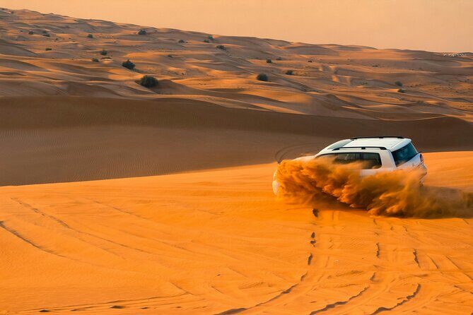 Desert Safari with Camel Riding and BBQ Dinner - The full Dubai Desert Safari experience, without the wasted time