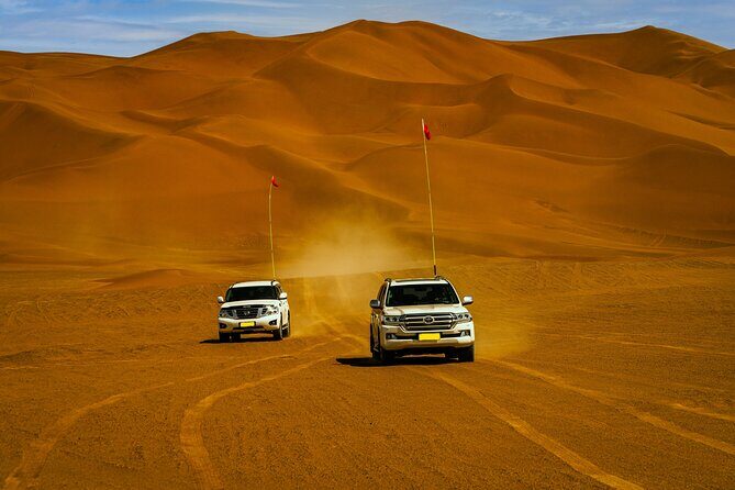 Desert Safari with Camel Riding and BBQ Dinner - BBQ dinner and vegetarian options: what you actually get for your money