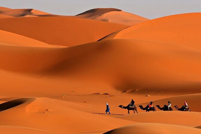 Desert Safari with Quad Bike Ride in Red Dunes - Lahbab Quad Bike Session: Self-Drive Fun in the Red Sand
