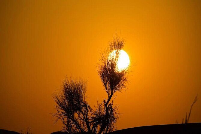 Desert Safari with Red Dune Buggy and Camel Ride Dubai - What to Bring (So You Don’t Spend the Whole Trip Adjusting Stuff)