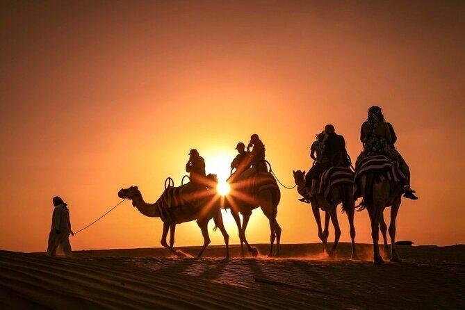 Dinner In Dubai Desert - Golden Desert Motorcycles stop: quad bike thrill without the whole day