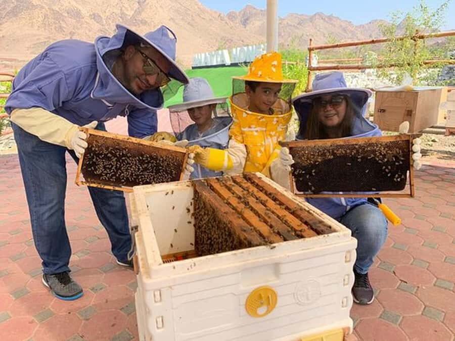 Discover Hatta Hidden Gem Private Tour with Kayaking & Honey - Honey bee garden tour: hives, production, and five local honeys
