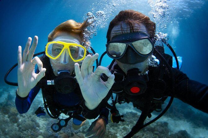 Discover Scuba Diving in Dubai - Why Jumeirah Beach Works for Your First Scuba Session