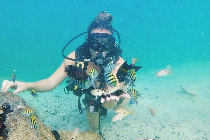Discover Scuba Diving in Dubai - What You’ll See Off Jumeirah Beach: Coral, Fish, and Real Underwater Breathing