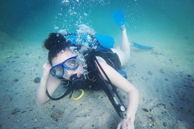 Discover Scuba Diving in Dubai - The Small-Group Setup: Four Students to One Instructor