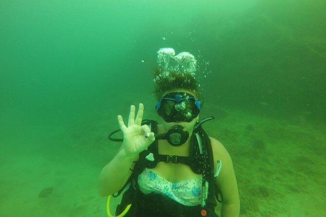Discover Scuba Diving in Fujirah Dibba - Who should book this try-out (and who might not)