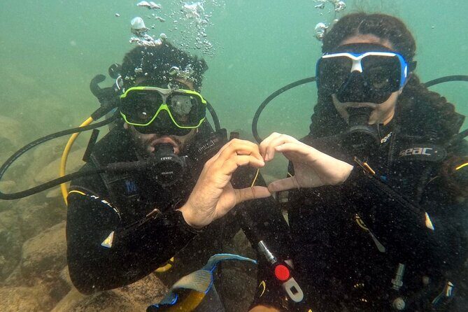 Discovery Scuba Diving in Dubai - Key highlights you’ll actually feel in the water