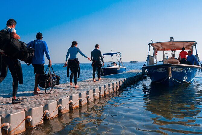 Dive trip to the coral reefs of Fujairah for certified scuba divers - Key things to know before you go