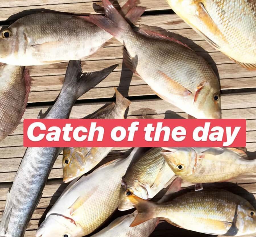 Dubai: 4-Hour Private Deep Sea/Trolling Fishing Trip - How the captain and crew coach deep-sea and trolling