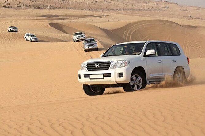 Dubai: 4X4 Desert Safari with BBQ Dinner - Camel farm, henna painting, and falcon photos: culture time without the lecture