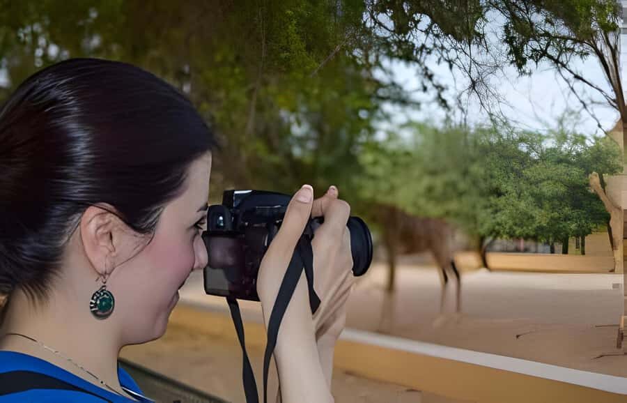 Dubai: Al Ain Garden City with Conservation Zoo - Al Ain Conservation Zoo: white tigers, hippos, giraffes, and conservation focus