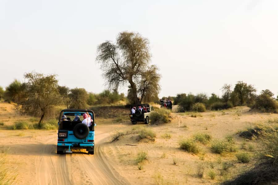 Dubai: Al Marmoom and Al Qudra Lakes Guided Tour with Dinner - Price and value: is $190 worth it?
