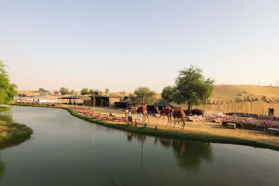 Dubai: Al Marmoom and Al Qudra Lakes Guided Tour with Dinner - Vintage G-class ride: part transport, part atmosphere