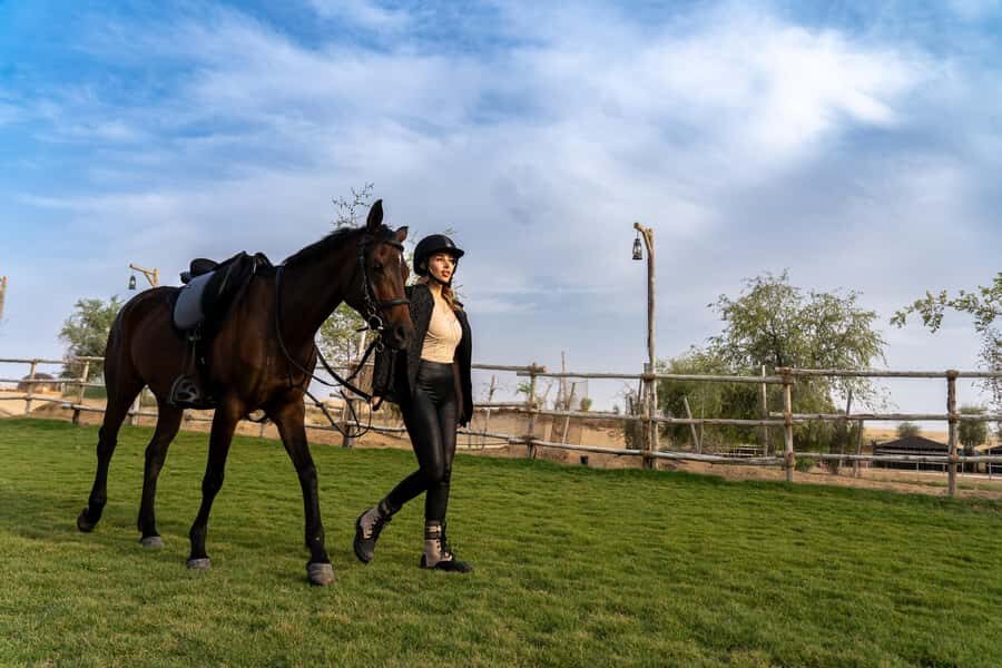 Dubai: Al Marmoom Oasis Horse Riding Experience with Snack - Hotel pickup from Dubai, Sharjah, Ajman, and cruise terminals