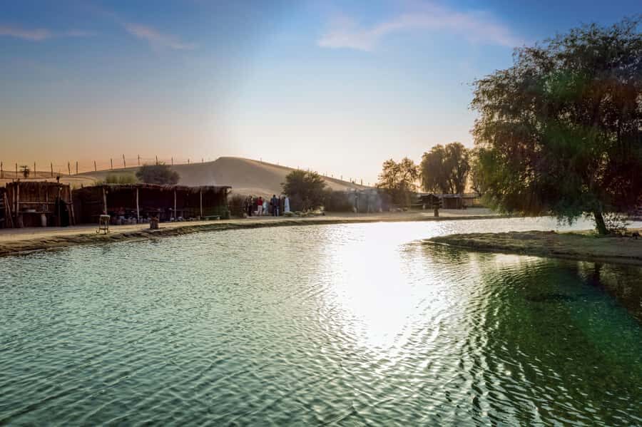 Dubai: Al Marmoom Oasis Safari, Animal Spotting & Breakfast - Bedouin village welcome: gahwa coffee, dates, and village activities