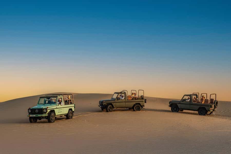 Dubai: Al Marmoom Oasis Safari, Animal Spotting & Breakfast - Hotel pickup to Al Marmoom Oasis: the smooth shift from city to desert