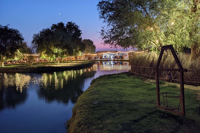 Dubai: Al Marmoom Oasis with Private Bedouin Tent & Dinner - Bedouin village welcome: Qahwa, Luqaimat, dates, then camel time