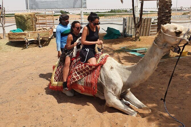 Dubai: All Inclusive Desert Safari with ATV, Camel, Horse ride, Vip & more - Stop 1 in Lahbab: quad bike self-drive and real dune bash