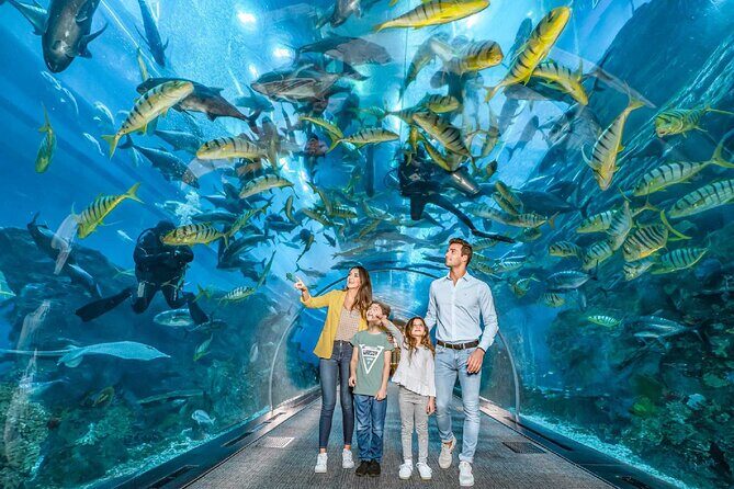 Dubai Aquarium and Underwater Zoo - Rainforest, Rocky Shore, and Living Ocean: your three themed routes