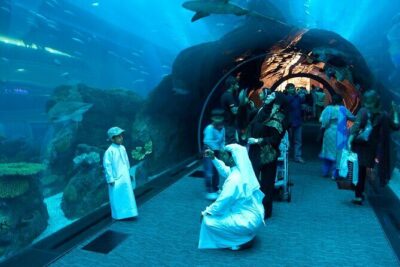 Dubai Aquarium and Underwater Zoo - Your 1-hour plan: how to see the good stuff