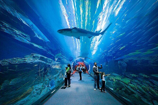 Dubai Aquarium and Underwater Zoo - King Croc, otters, and animal encounters on your route
