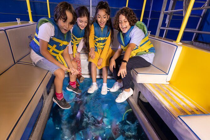 Dubai Aquarium and Underwater Zoo Entrance Ticket - Dubai Aquarium’s Tunnel and Huge Tank: Why This Ticket Feels Special