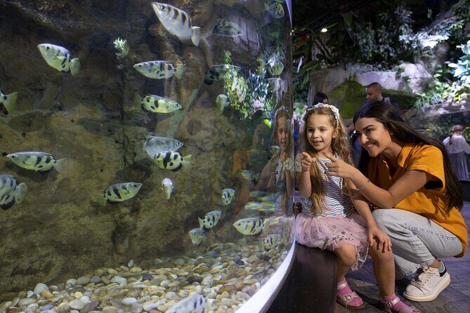 Dubai Aquarium and Underwater Zoo Entrance Ticket - What’s Included: Aquarium Zoo Access and the Tunnel
