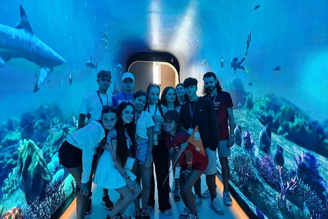 Dubai Aquarium And Underwater Zoo Tickets At Dubai Mall - Key things to know before you go