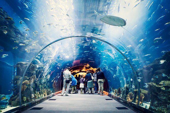 Dubai Aquarium + Penguin Cove Tickets with Transfers - What you’re really buying: aquarium + animals + penguins