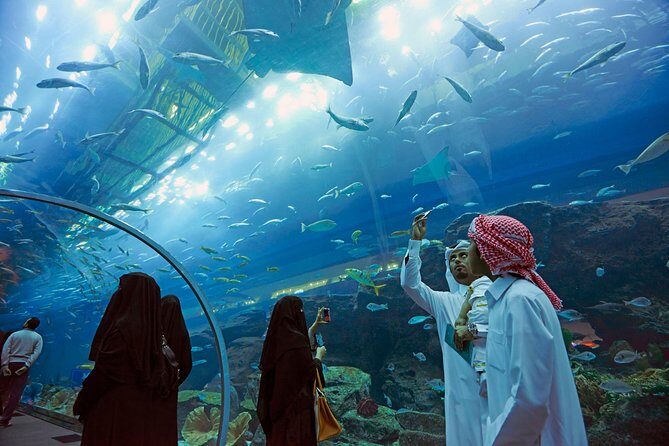 Dubai Aquarium + Penguin Cove Tickets with Transfers - Penguin Cove: the playful finish that keeps kids smiling