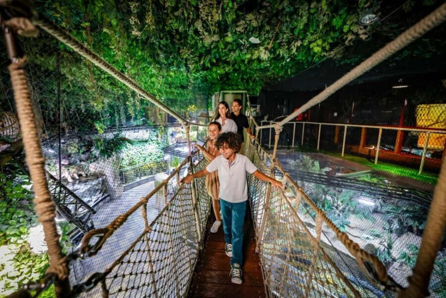 Dubai Aquarium + Sky Views Observatory Tickets - Rainforest, Penguin Cove, and Nursery: The Animal Habitats Portion