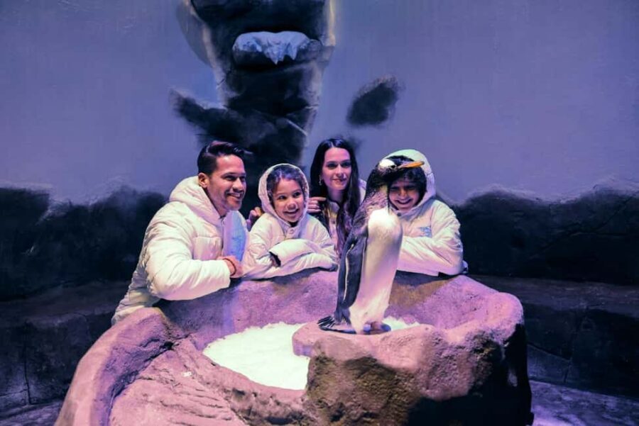 Dubai Aquarium + Sky Views Observatory Tickets - Glass Walk and Glass Slide: Thrills With Real Safety Rules