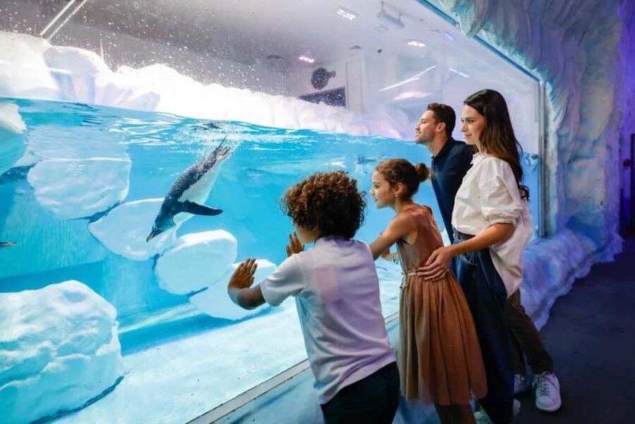 Dubai Aquarium + Sky Views Observatory Tickets - Tips to Make Your Day Smoother in Dubai