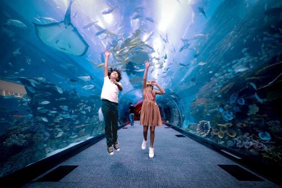 Dubai Aquarium + Sky Views Observatory Tickets - FAQ