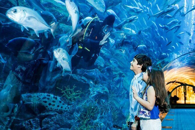 Dubai Aquarium & Underwater Zoo - The 48-metre tunnel: your best underwater viewpoint