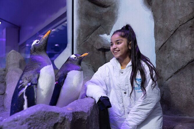 Dubai Aquarium & Underwater Zoo - How long you need: 1 to 5 hours in real life