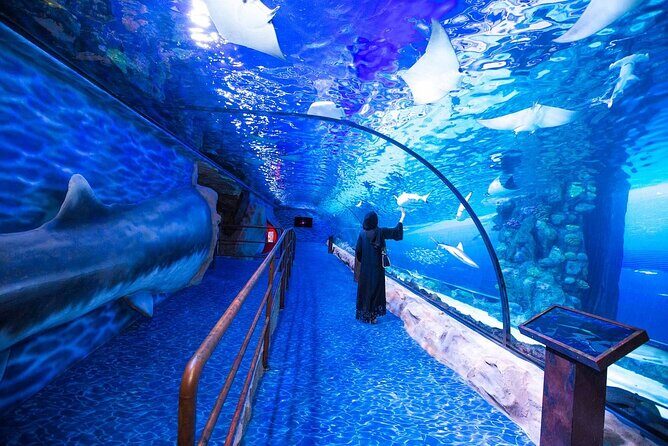 Dubai Aquarium & Underwater Zoo - Price and value: what you’re really paying for