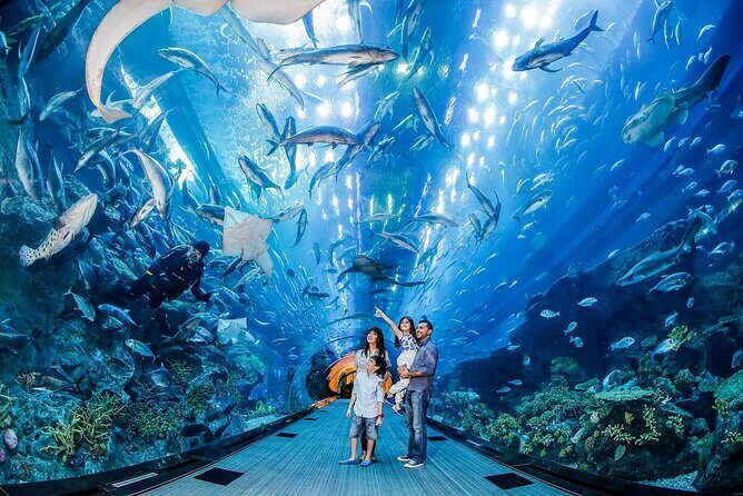 Dubai Aquarium & Underwater Zoo - Timing and crowds: how to plan your visit inside Dubai Mall
